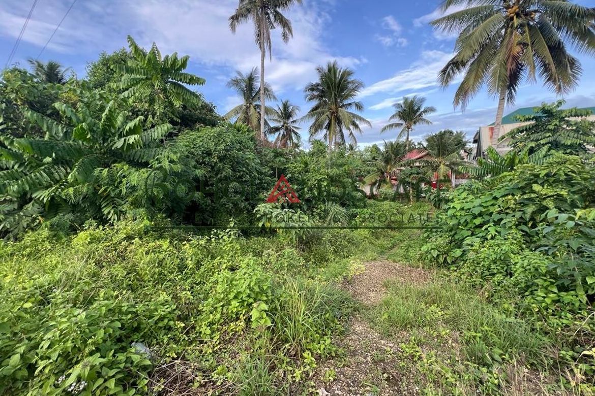 Land for Sale in Tiptip, Tagbilaran, Bohol