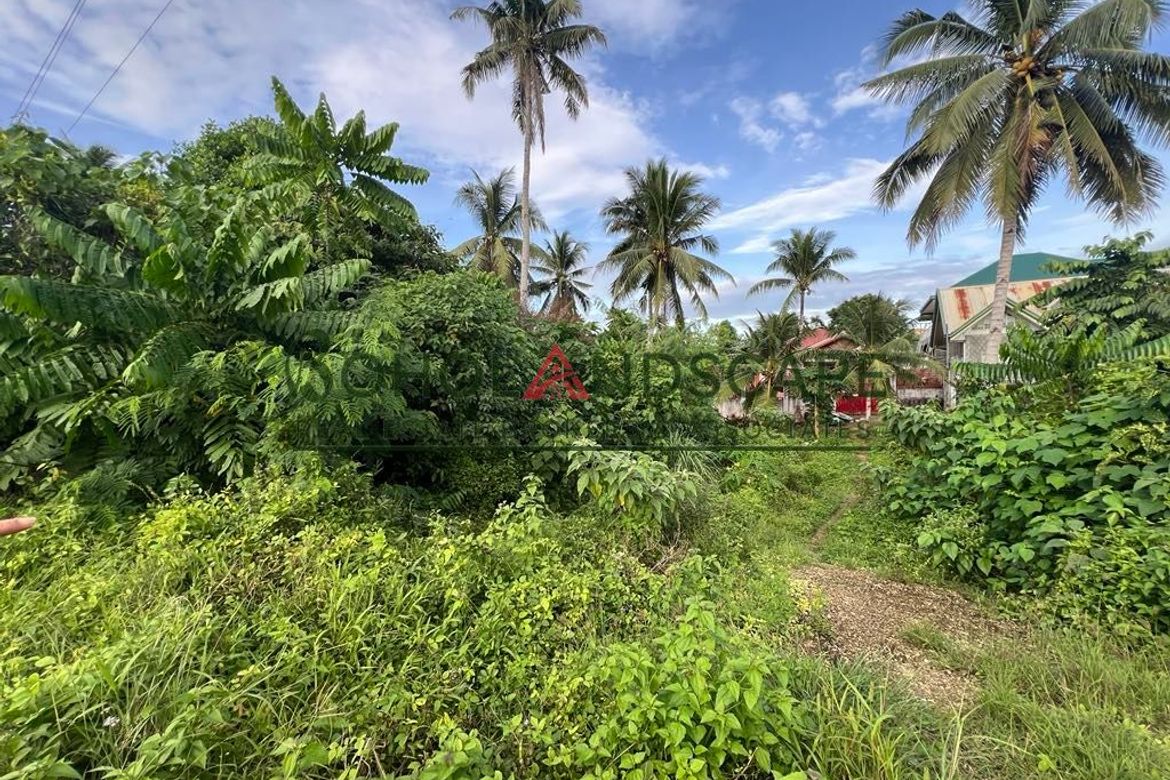 Land for Sale in Tiptip, Tagbilaran, Bohol – photo 3