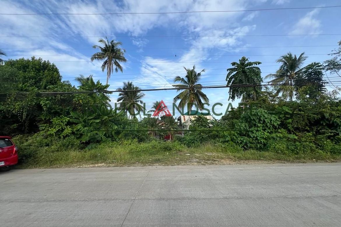 Land for Sale in Tiptip, Tagbilaran, Bohol – photo 7