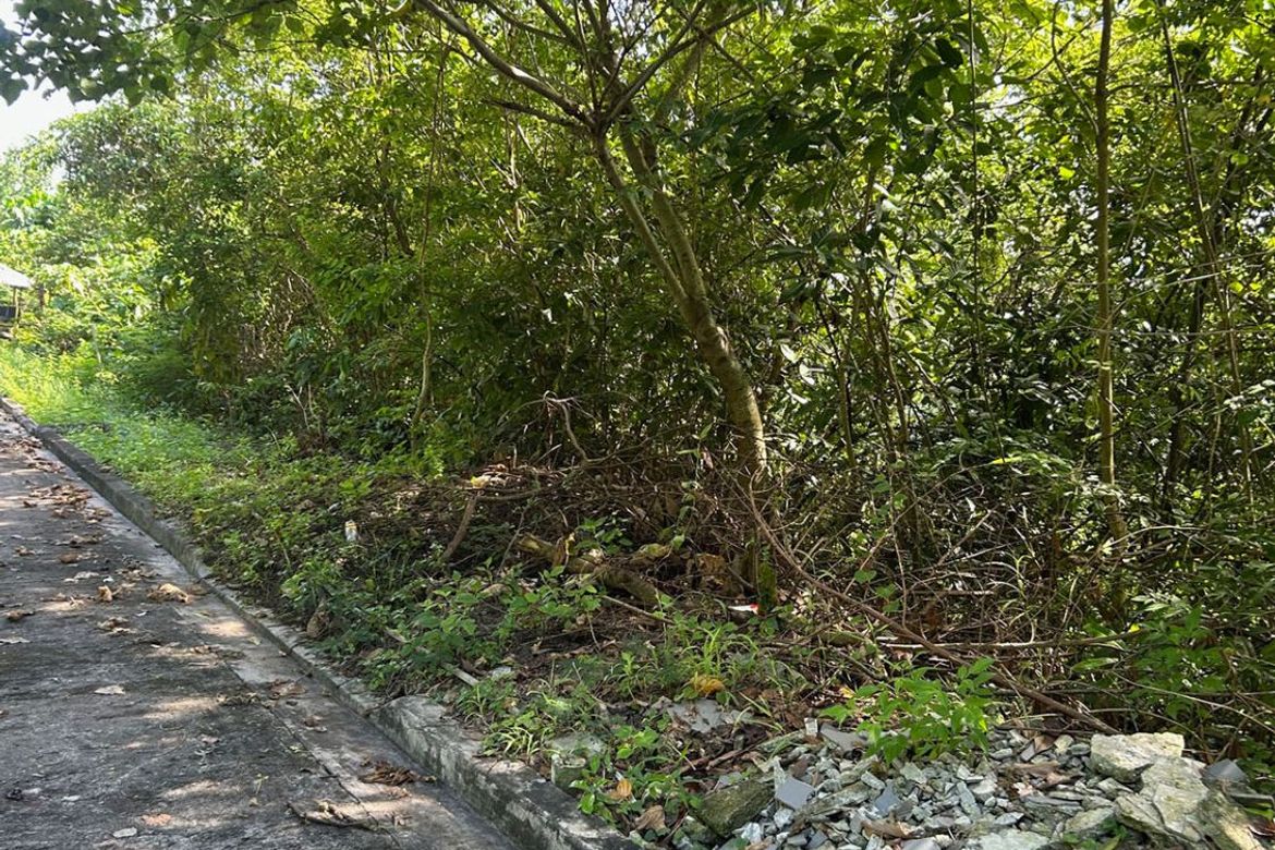 Land for Sale in Tisa, Cebu City, Cebu – photo 2