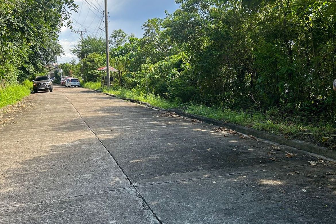 Land for Sale in Tisa, Cebu City, Cebu – photo 3