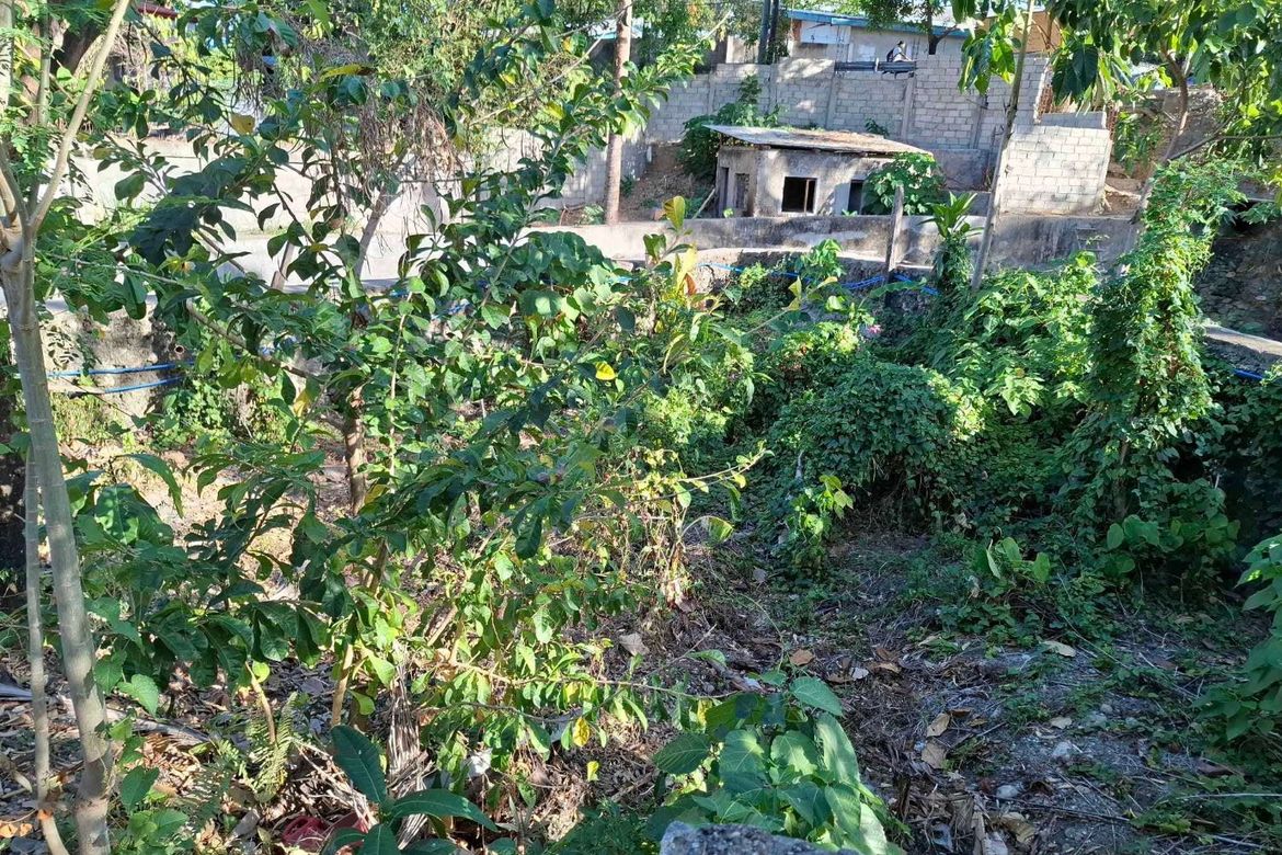 Land for Sale in Tisa, Cebu City, Cebu – photo 2