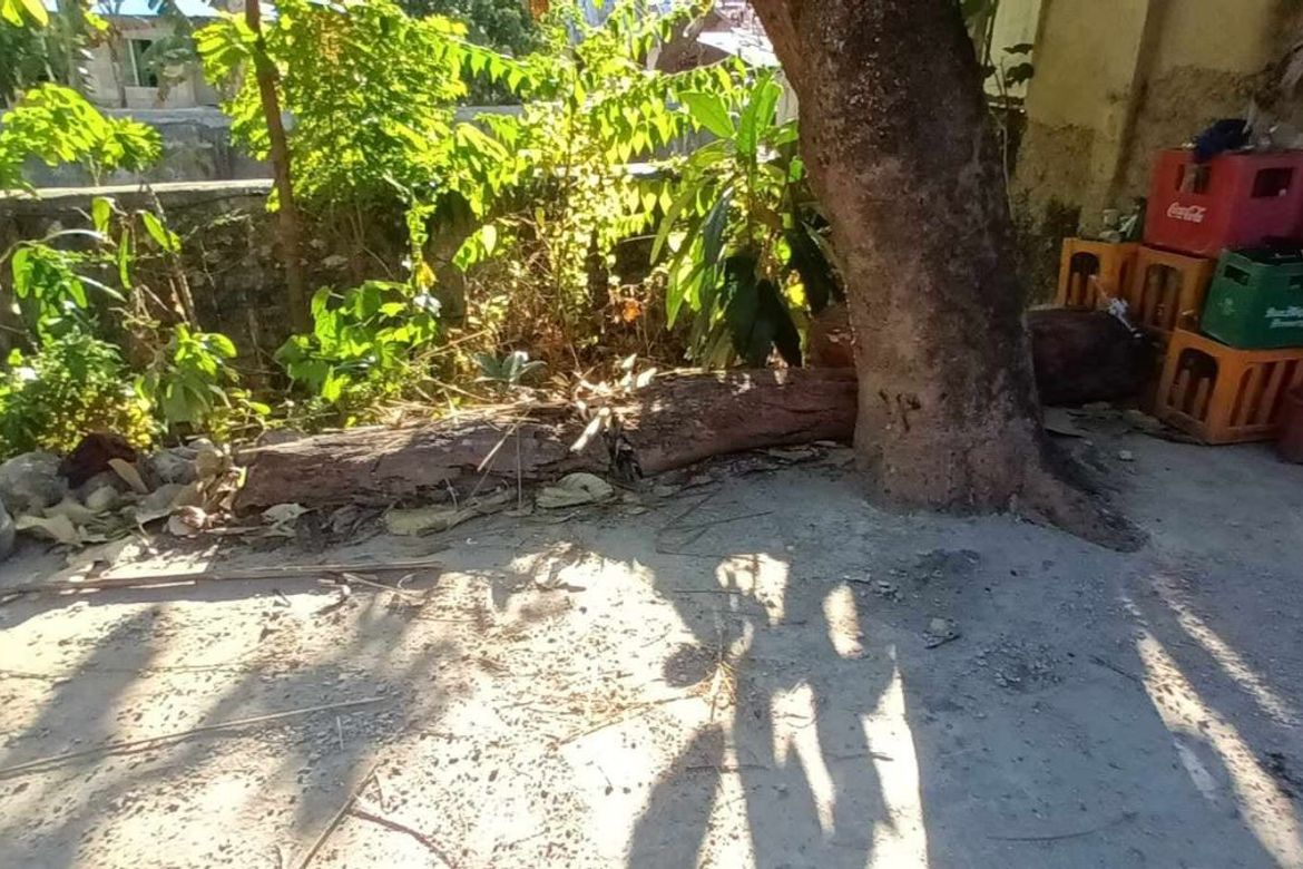 Land for Sale in Tisa, Cebu City, Cebu – photo 4
