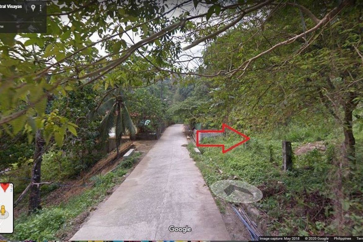 Land for Sale in To-Ong Pardo, Cebu City, Cebu
