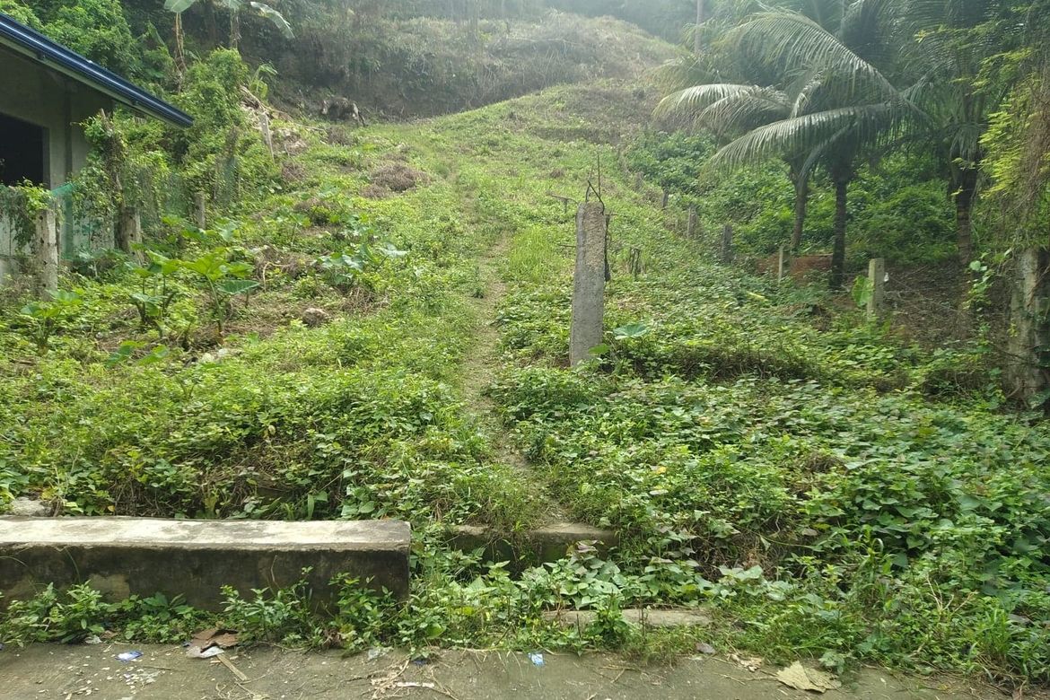 Land for Sale in To-Ong Pardo, Cebu City, Cebu – photo 2