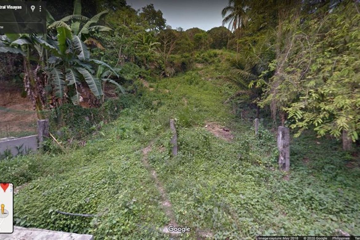 Land for Sale in To-Ong Pardo, Cebu City, Cebu – photo 3