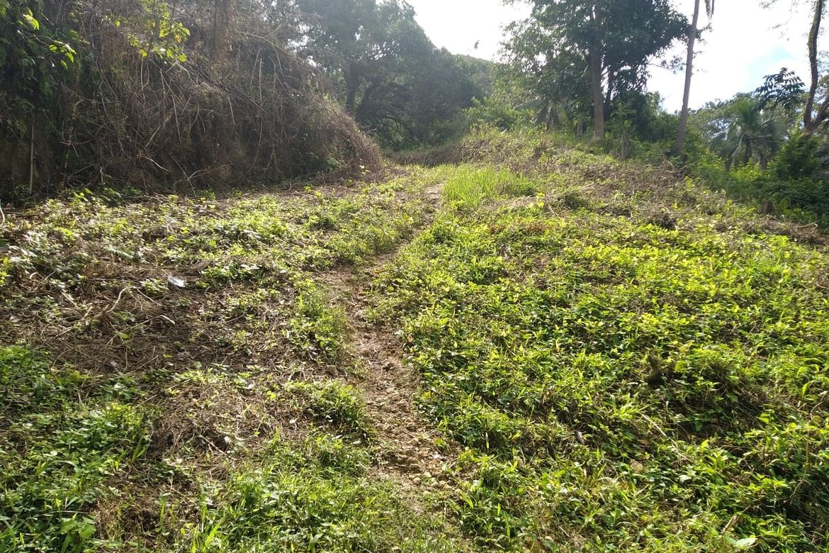 Land for Sale in To-Ong Pardo, Cebu City, Cebu – photo 4