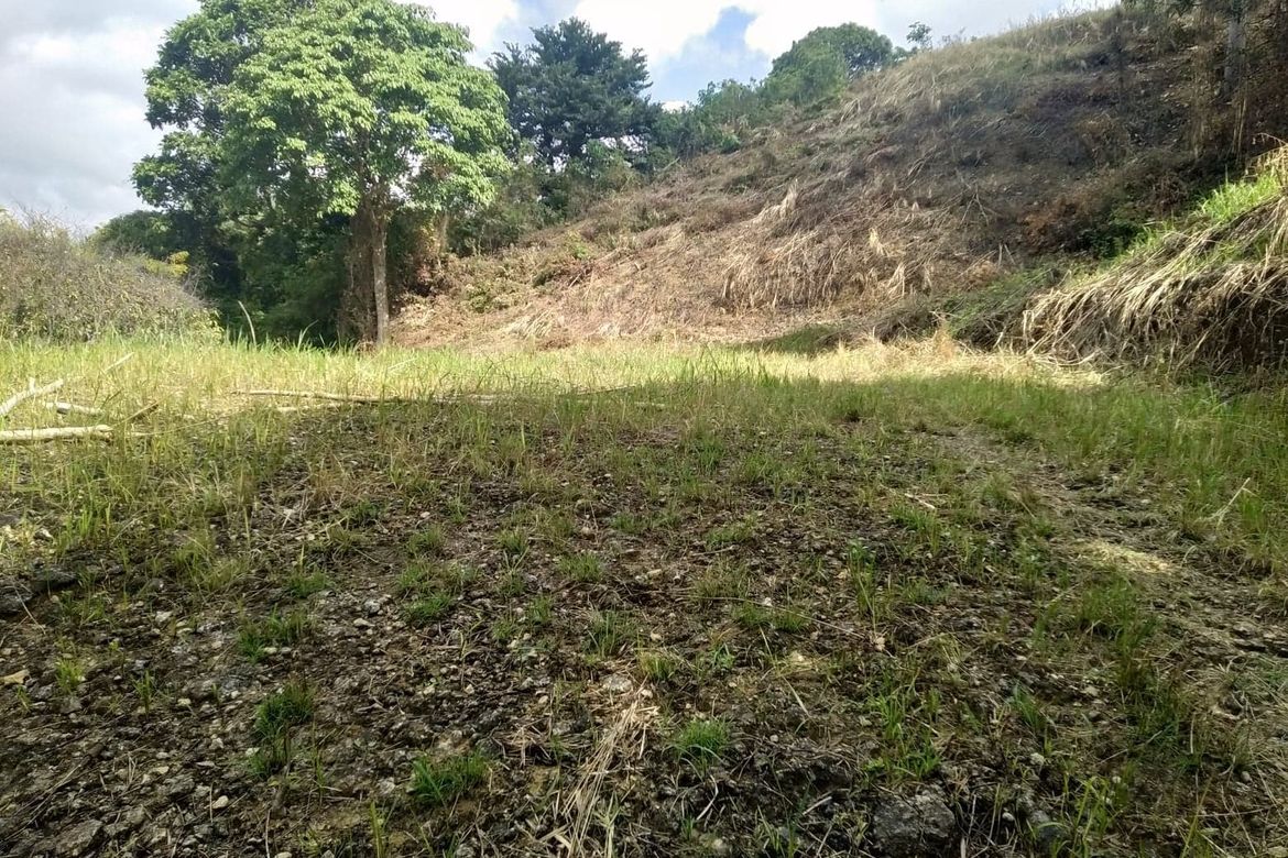 Land for Sale in To-Ong Pardo, Cebu City, Cebu – photo 5