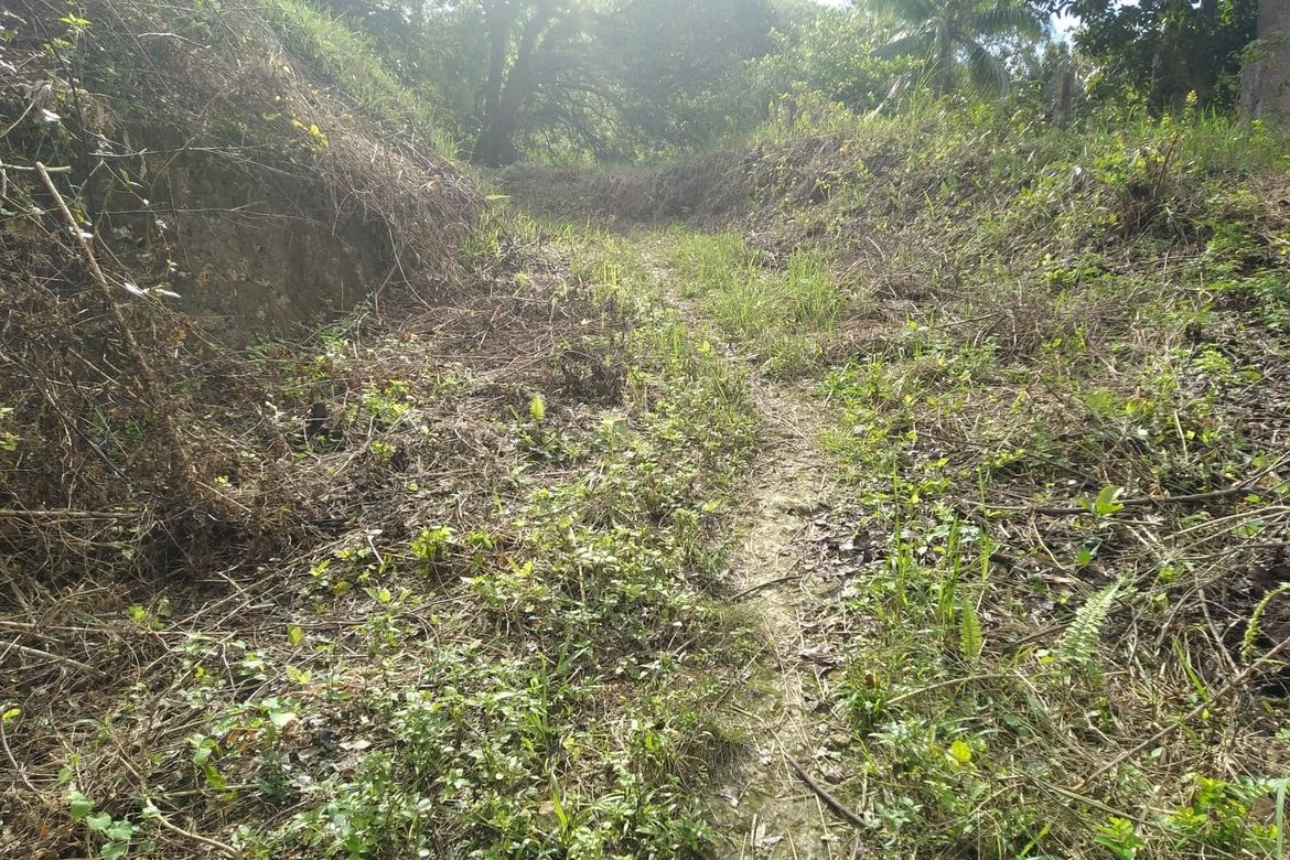 Land for Sale in To-Ong Pardo, Cebu City, Cebu – photo 6