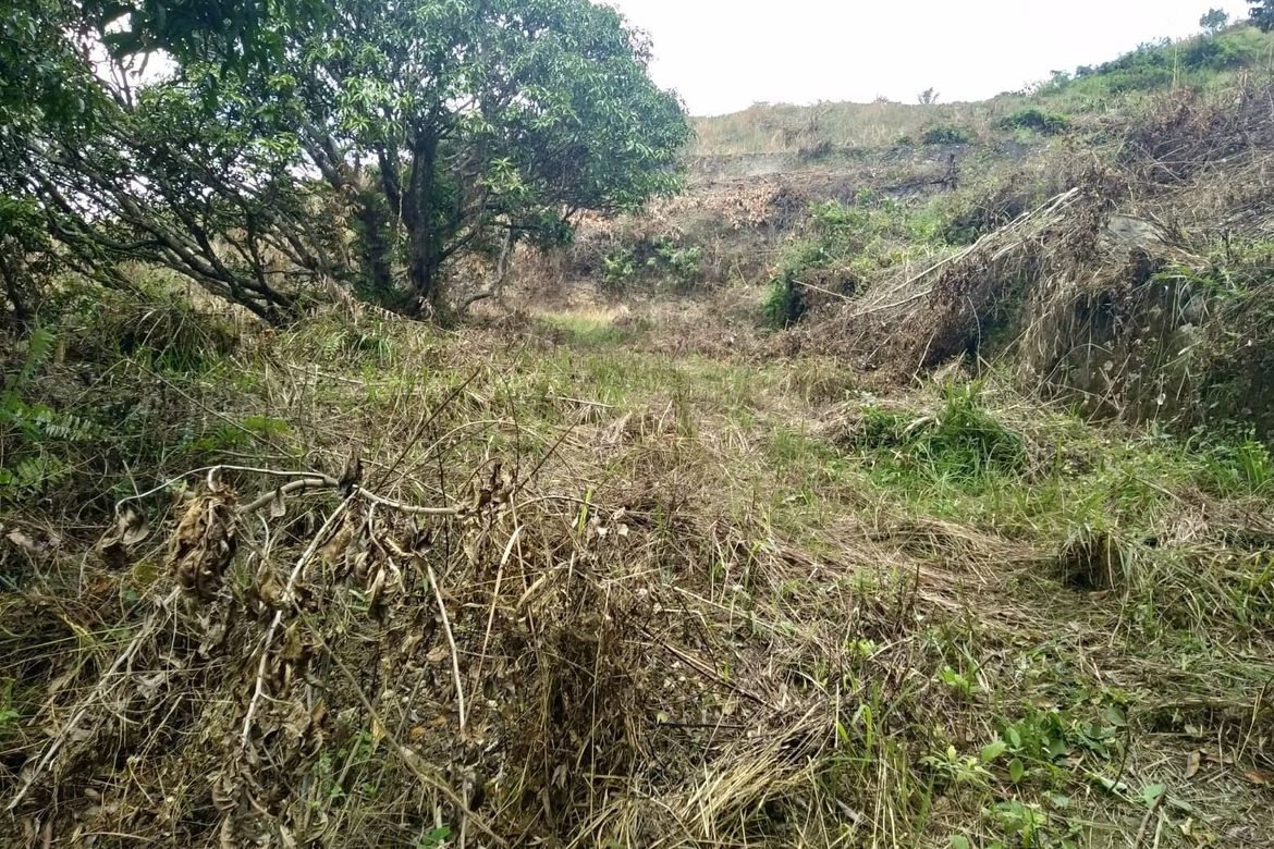 Land for Sale in To-Ong Pardo, Cebu City, Cebu – photo 7