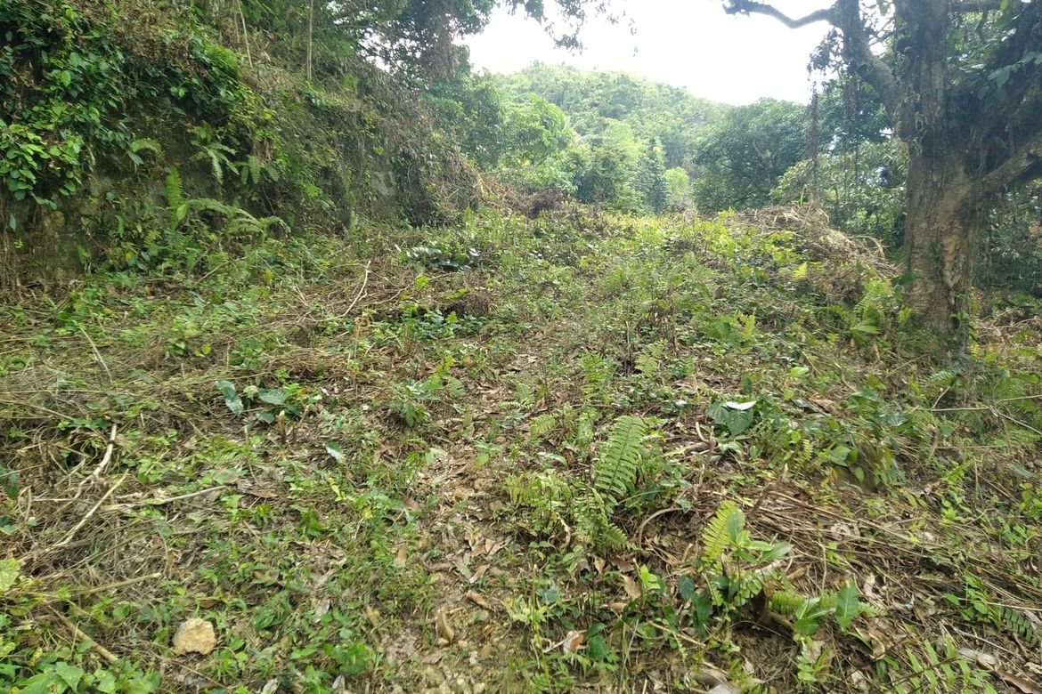 Land for Sale in To-Ong Pardo, Cebu City, Cebu – photo 8