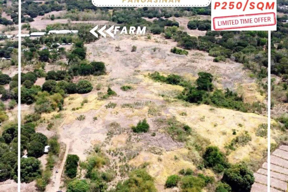 Land for Sale in Tobor, Malasiqui, Pangasinan