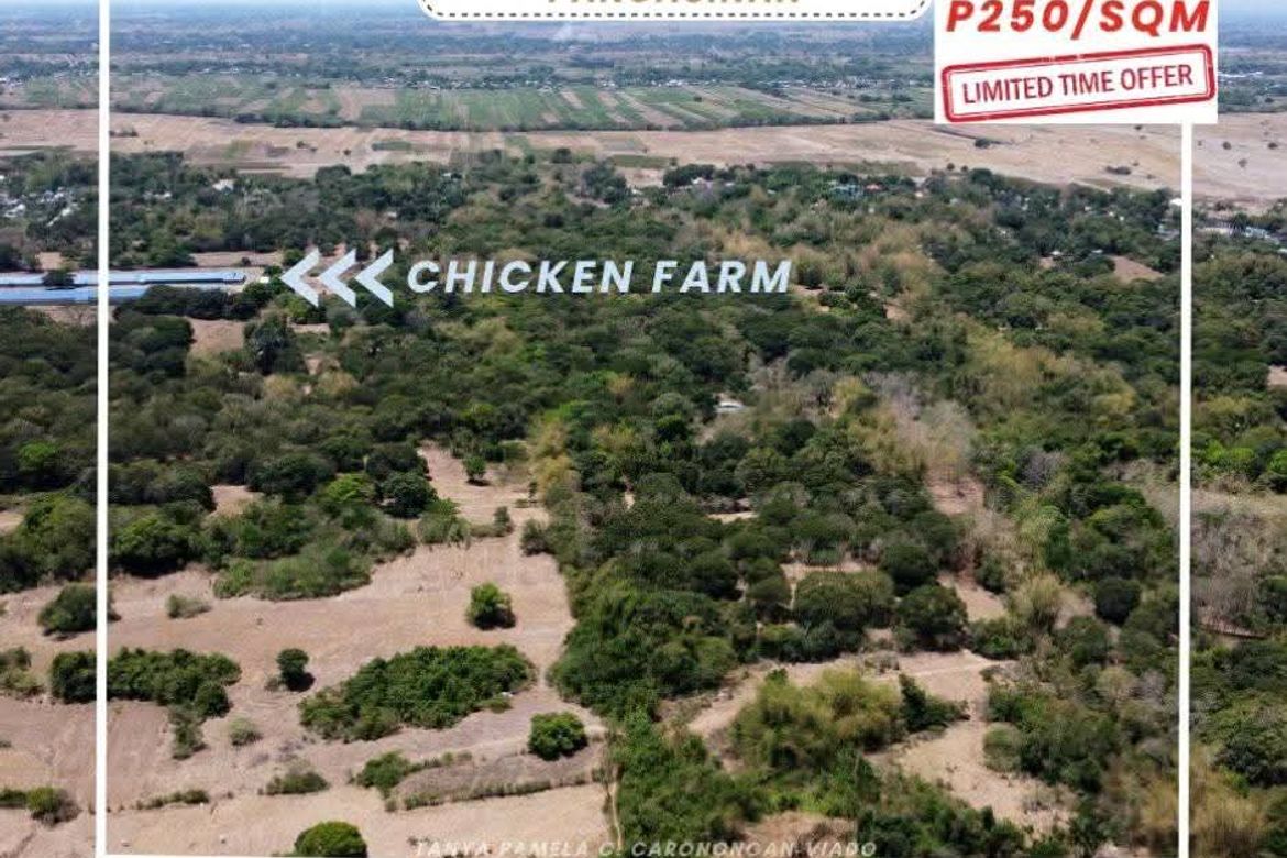 Land for Sale in Tobor, Malasiqui, Pangasinan – photo 2