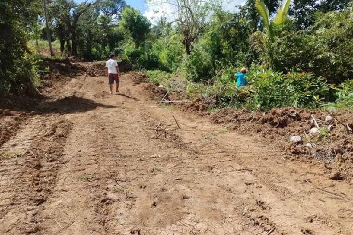 Land for Sale in Togonon, Danao, Cebu – photo 2