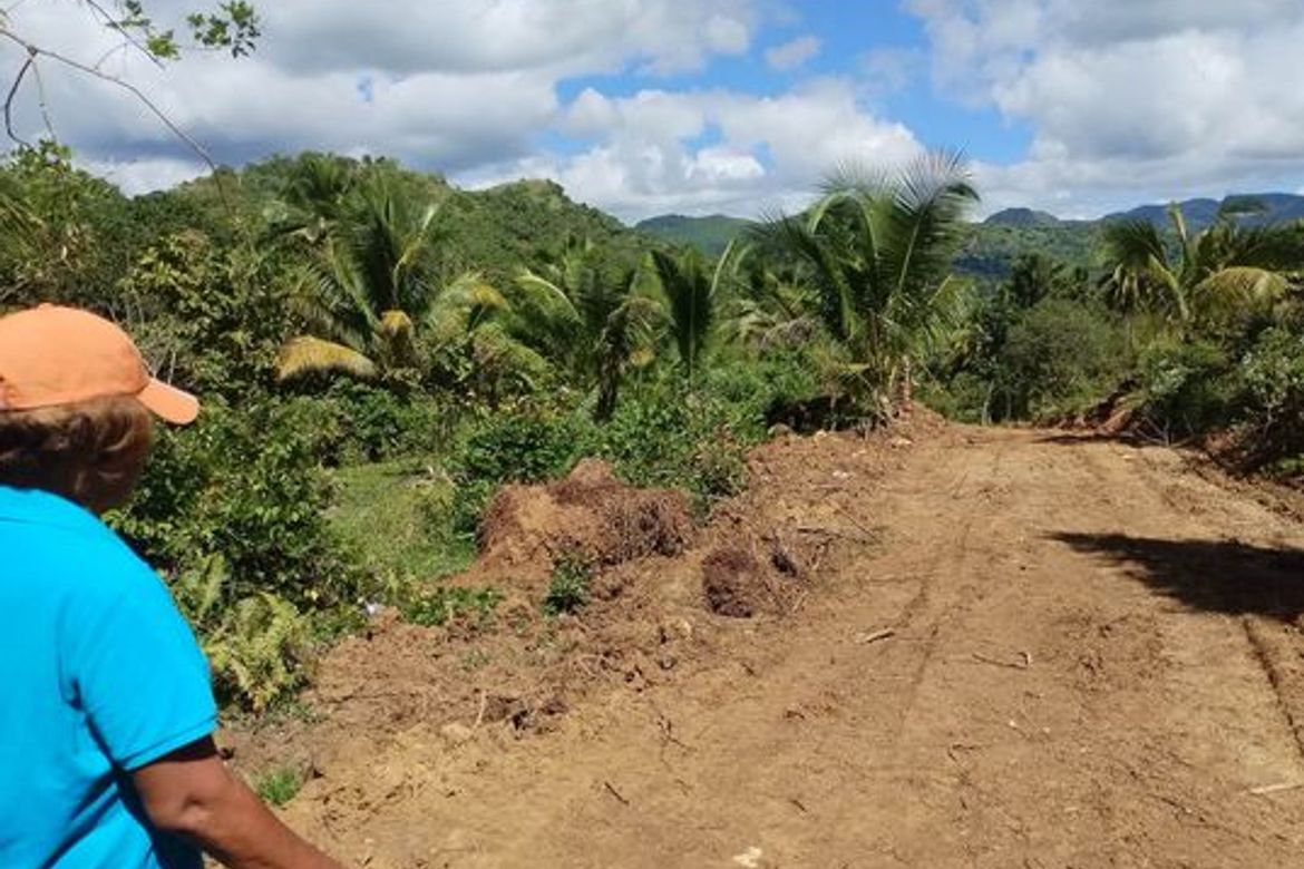 Land for Sale in Togonon, Danao, Cebu – photo 6