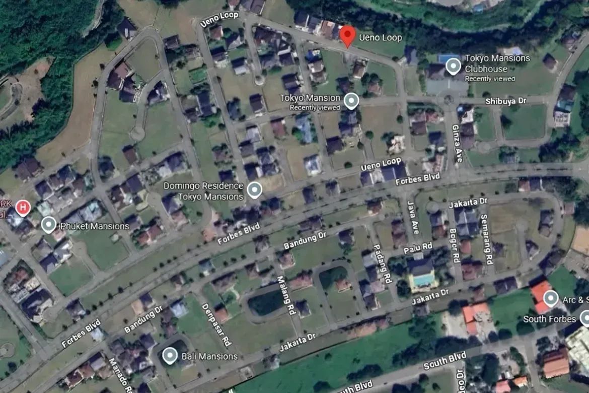 Land for Sale in Tokyo Mansions, Inchican, Silang, Cavite – photo 5