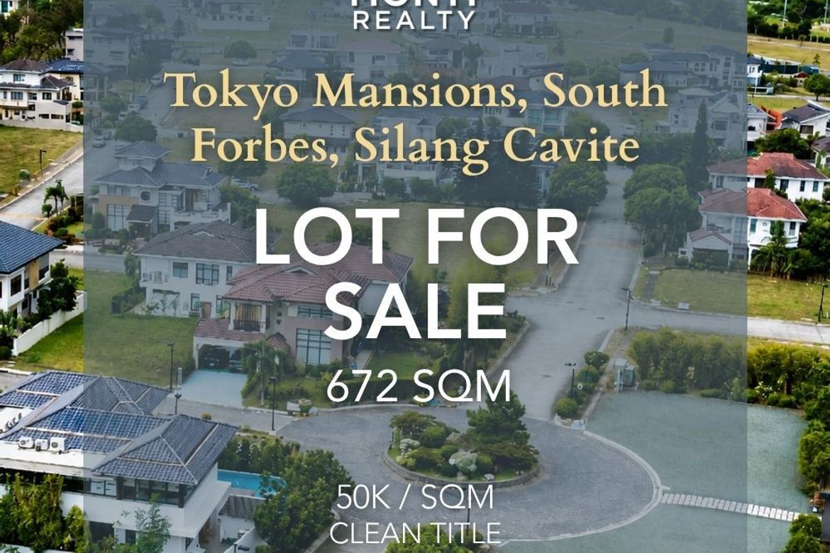 Land for Sale in Tokyo Mansions, Inchican, Silang, Cavite – photo 2