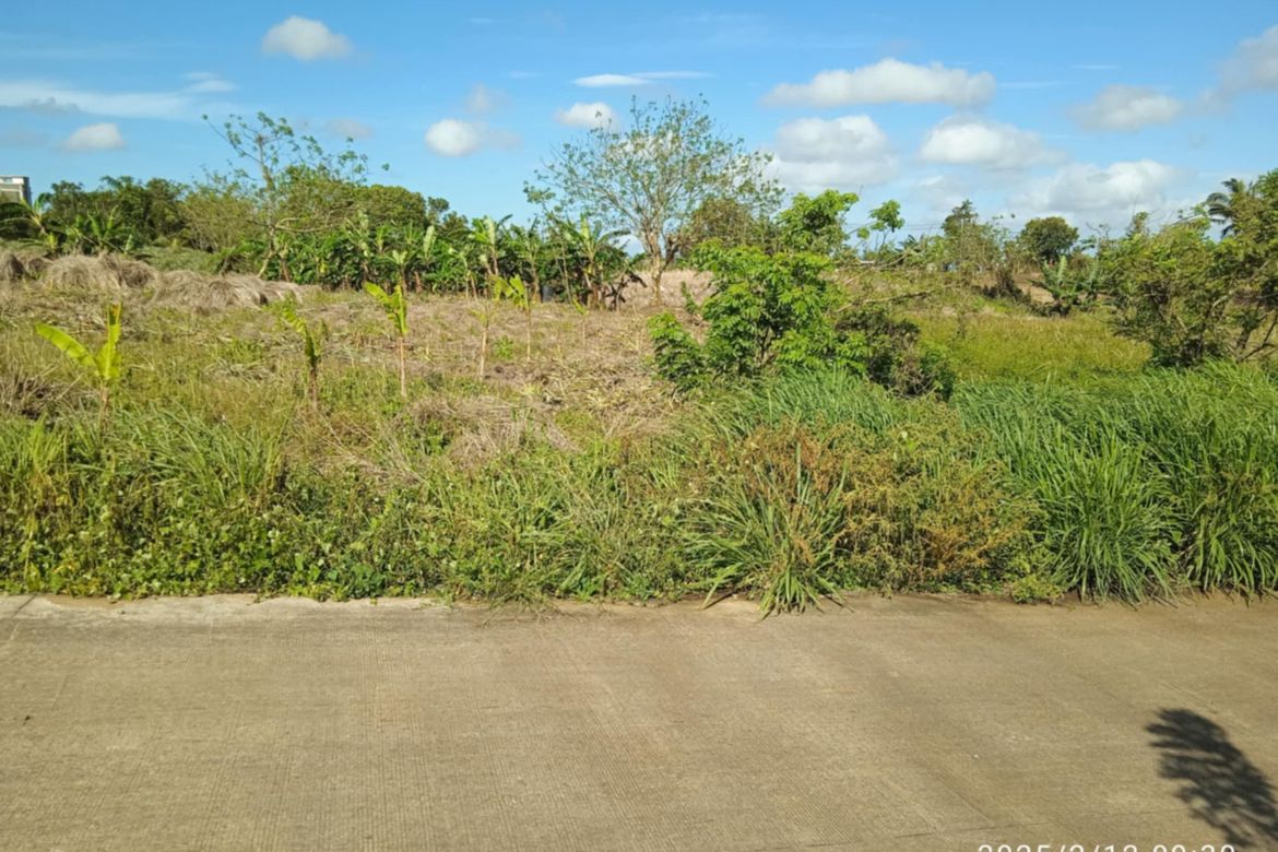 Land for Sale in Toledo, Silang, Cavite