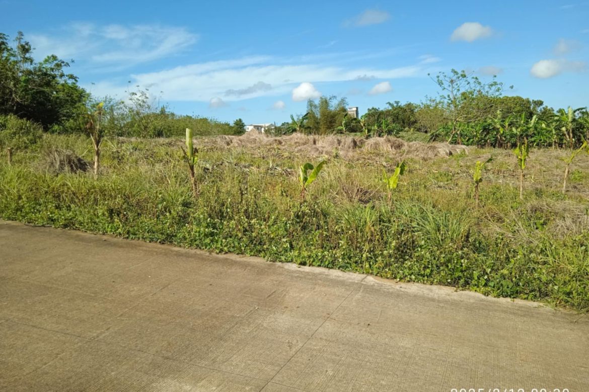 Land for Sale in Toledo, Silang, Cavite – photo 2