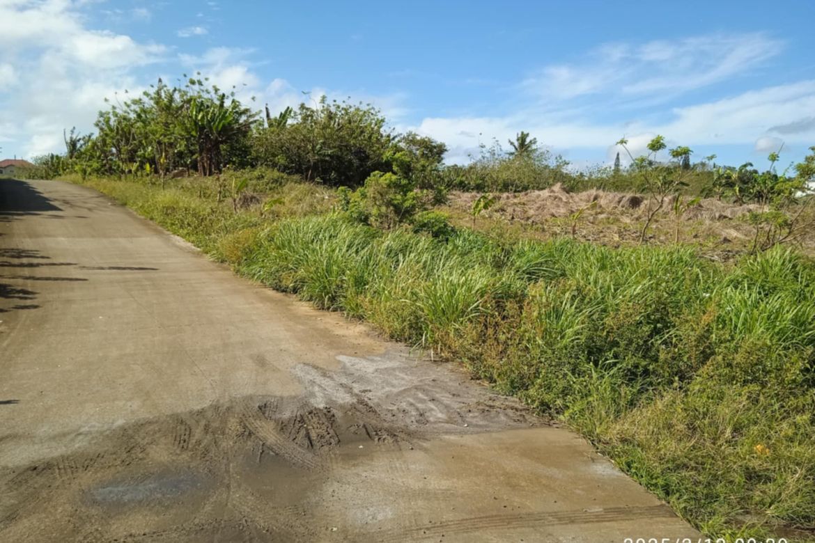Land for Sale in Toledo, Silang, Cavite – photo 3