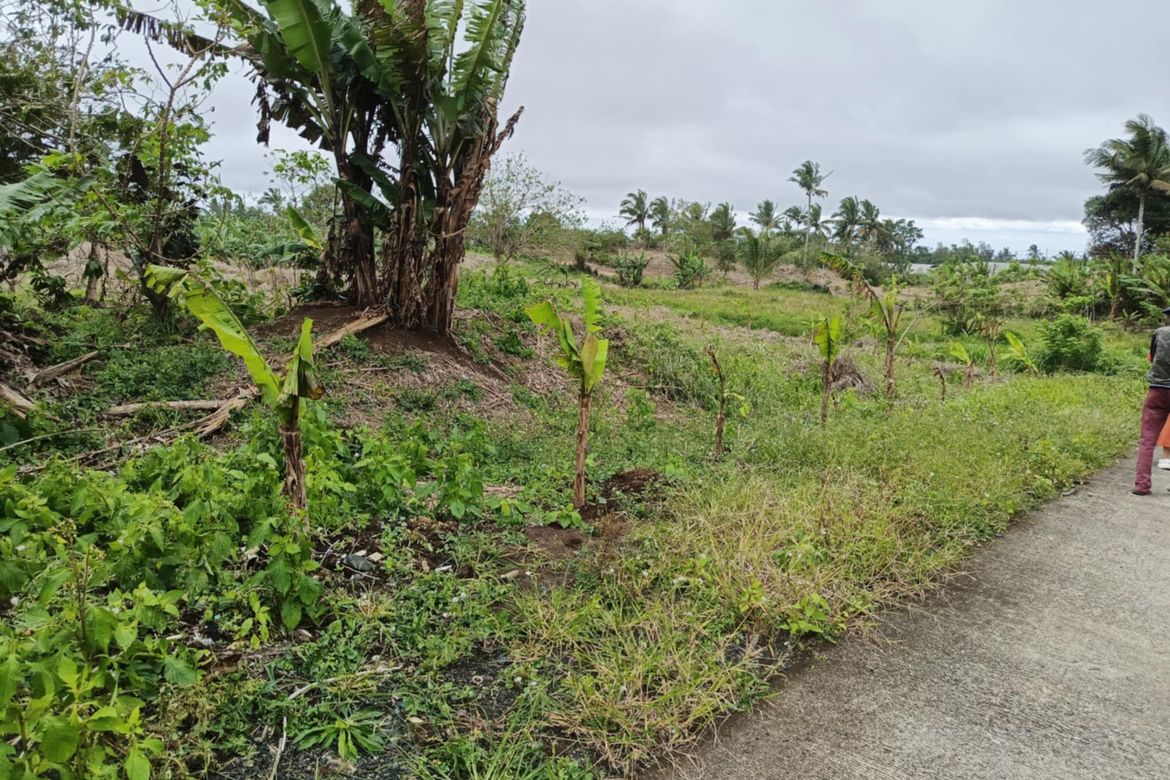 Land for Sale in Toledo, Silang, Cavite – photo 5