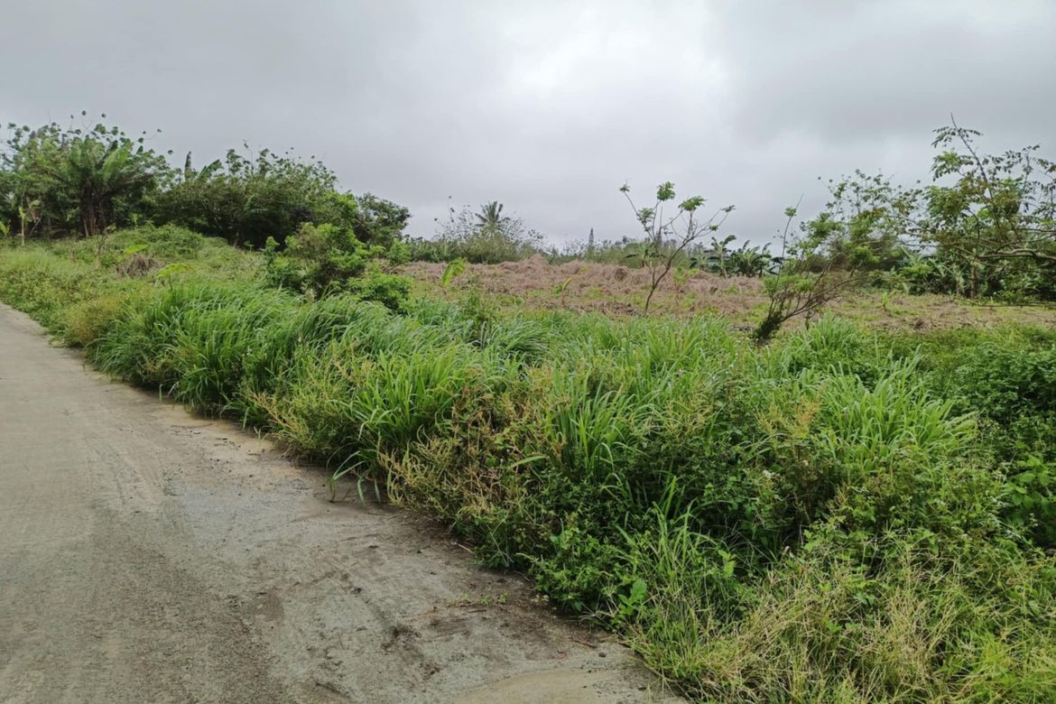 Land for Sale in Toledo, Silang, Cavite – photo 7