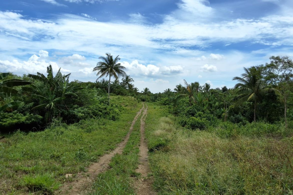 Land for Sale in Toledo, Silang, Cavite