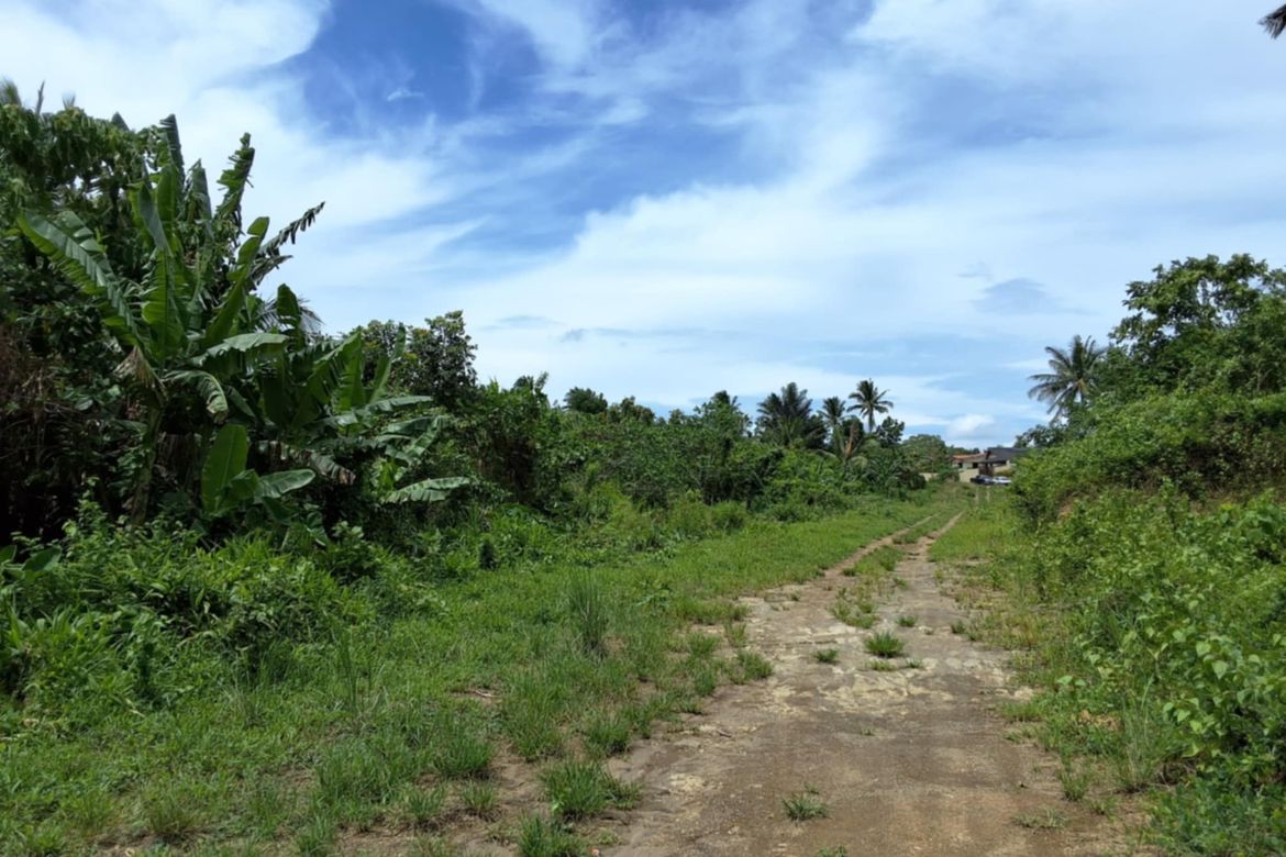 Land for Sale in Toledo, Silang, Cavite – photo 2