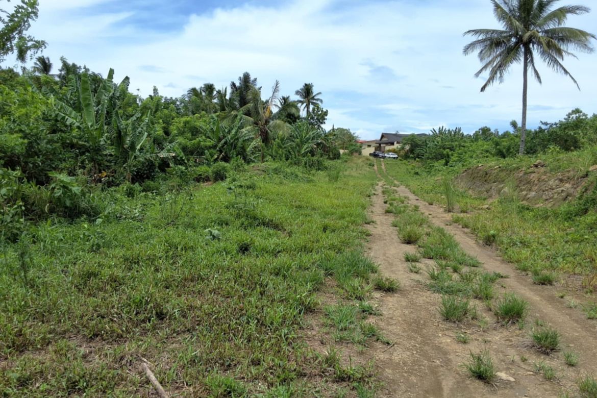 Land for Sale in Toledo, Silang, Cavite – photo 4