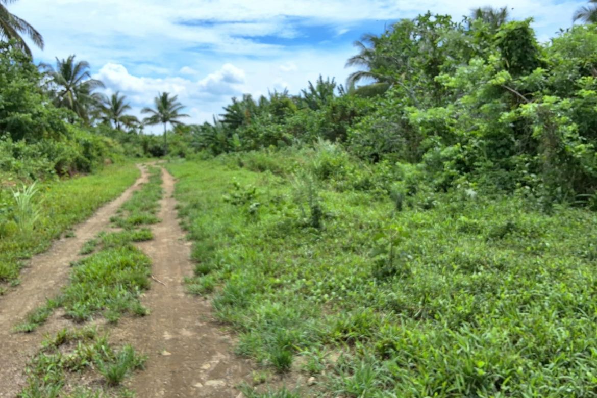 Land for Sale in Toledo, Silang, Cavite – photo 5