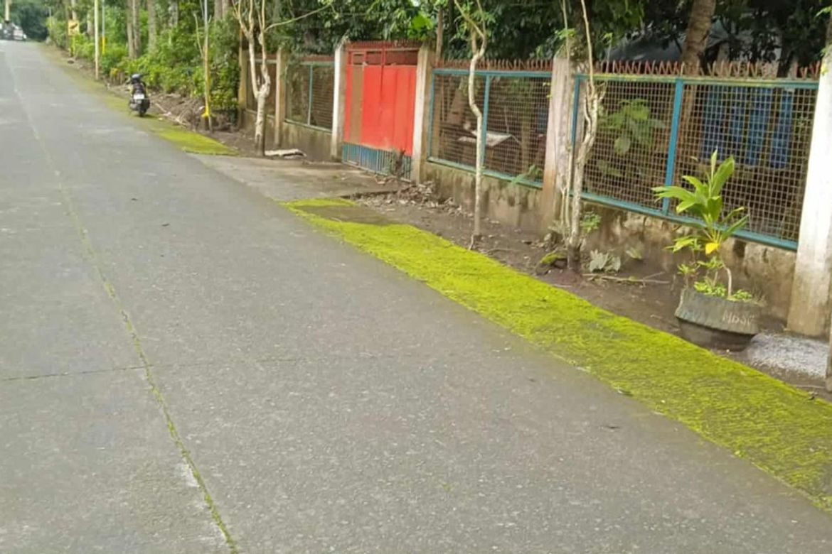 Land for Sale in Toledo, Silang, Cavite – photo 2