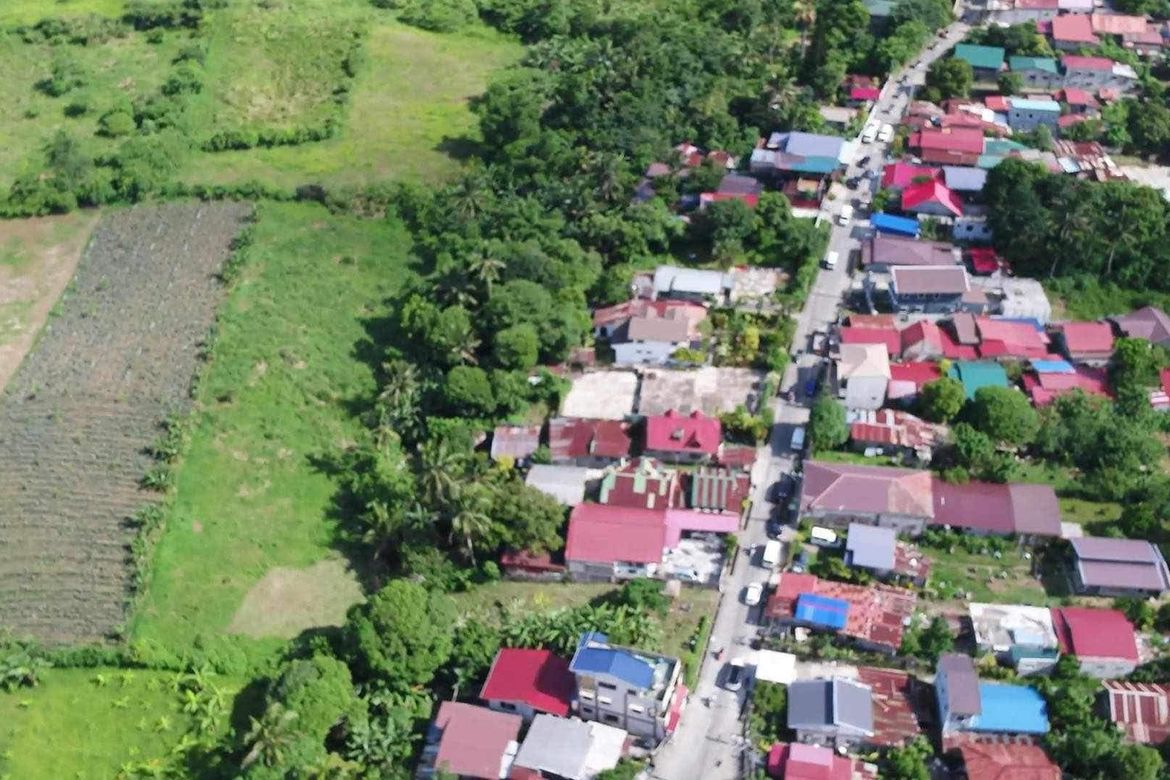 Land for Sale in Toledo, Silang, Cavite – photo 3