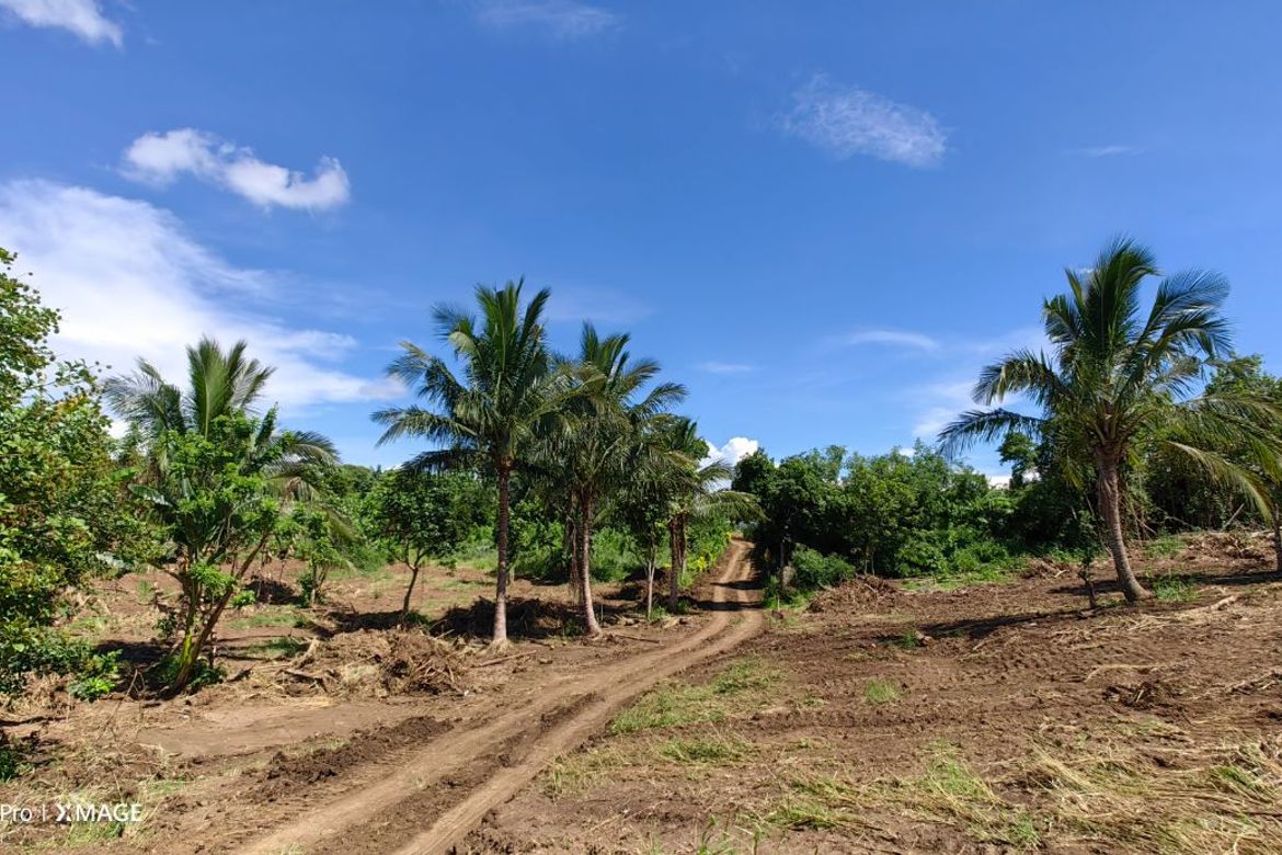 Land for Sale in Toledo, Silang, Cavite