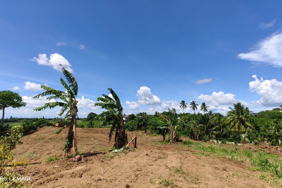 Land for Sale in Toledo, Silang, Cavite – photo 2