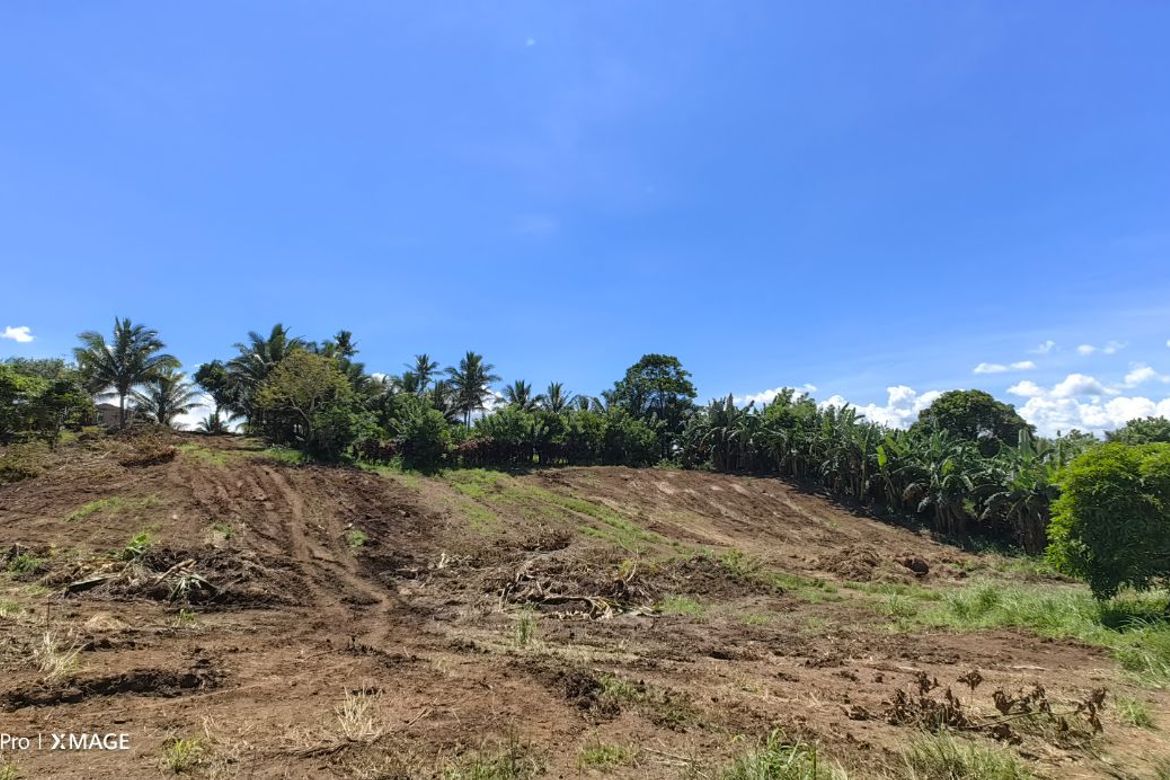 Land for Sale in Toledo, Silang, Cavite – photo 3