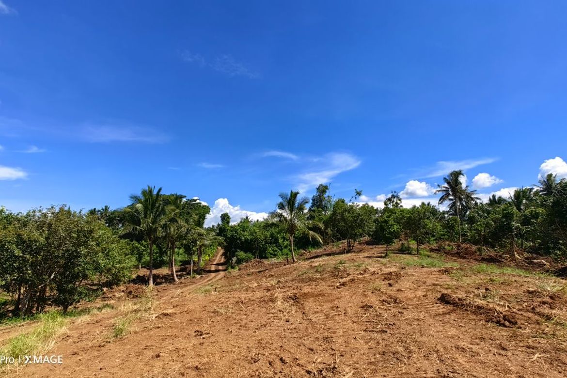 Land for Sale in Toledo, Silang, Cavite – photo 6