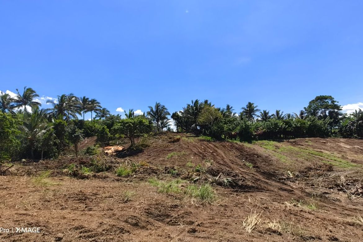 Land for Sale in Toledo, Silang, Cavite – photo 8