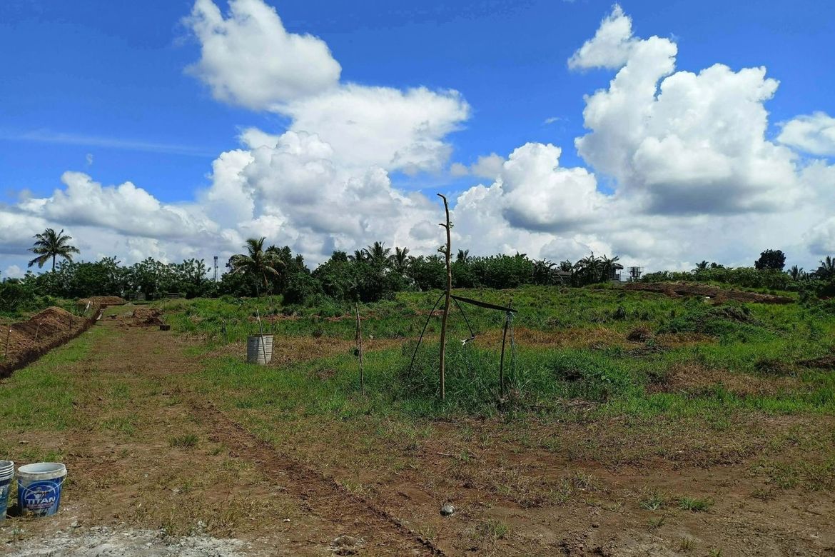 Land for Sale in Toledo, Silang, Cavite