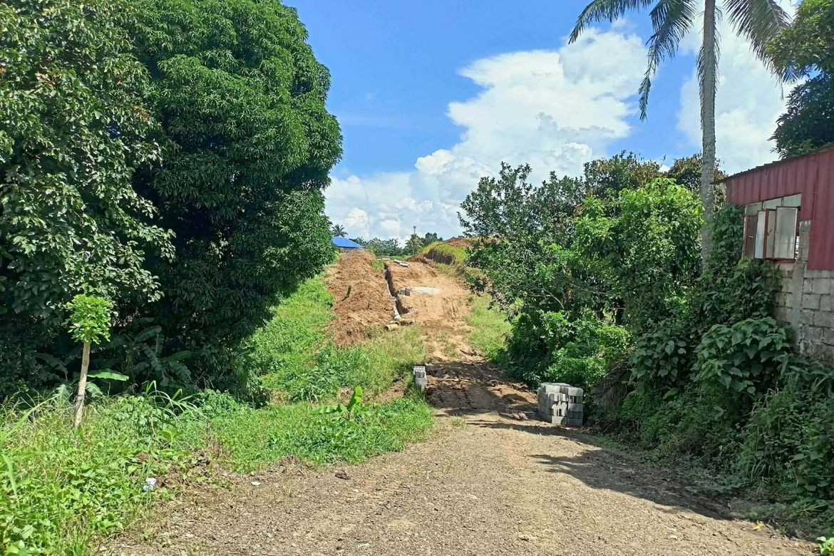 Land for Sale in Toledo, Silang, Cavite – photo 2