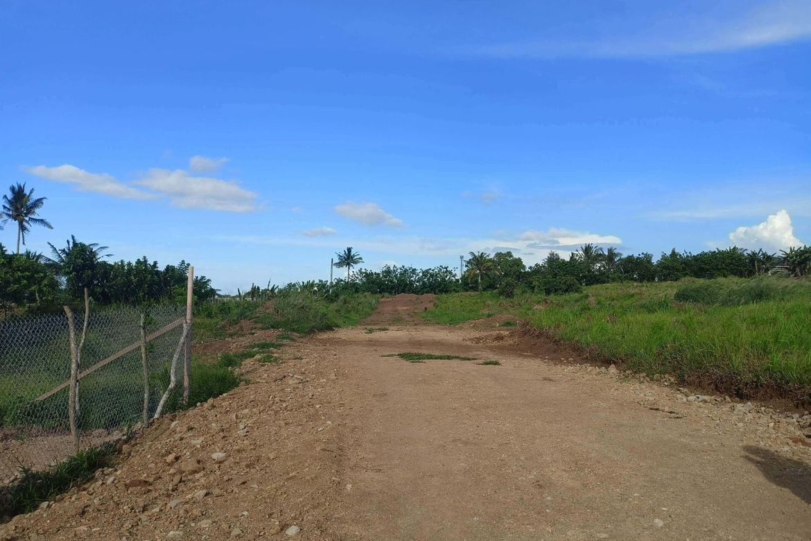 Land for Sale in Toledo, Silang, Cavite – photo 3
