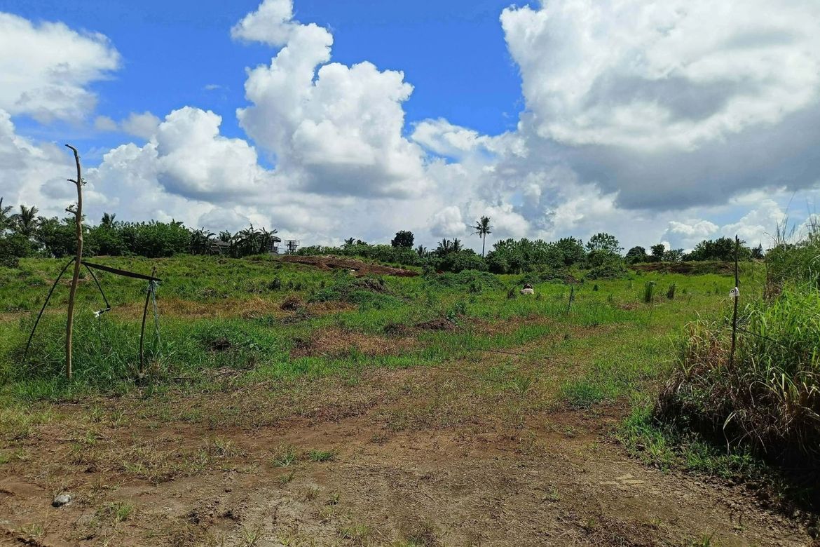 Land for Sale in Toledo, Silang, Cavite – photo 5