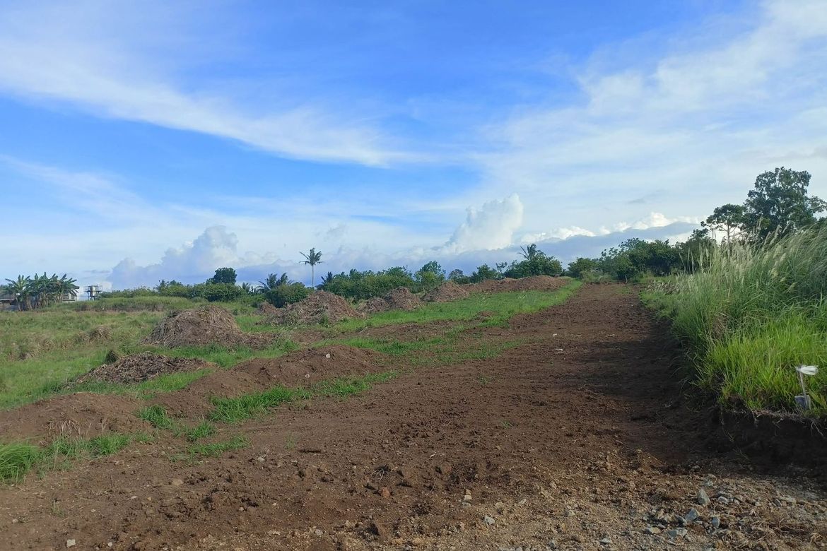 Land for Sale in Toledo, Silang, Cavite – photo 3