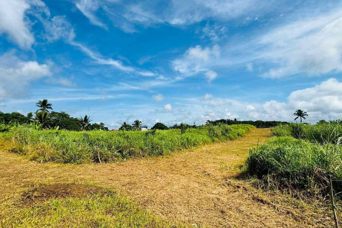 Land for Sale in Toledo, Silang, Cavite – photo 8