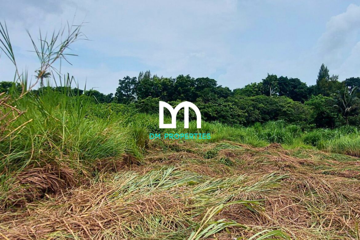 Land for Sale in Tolentino East, Tagaytay, Cavite – photo 4