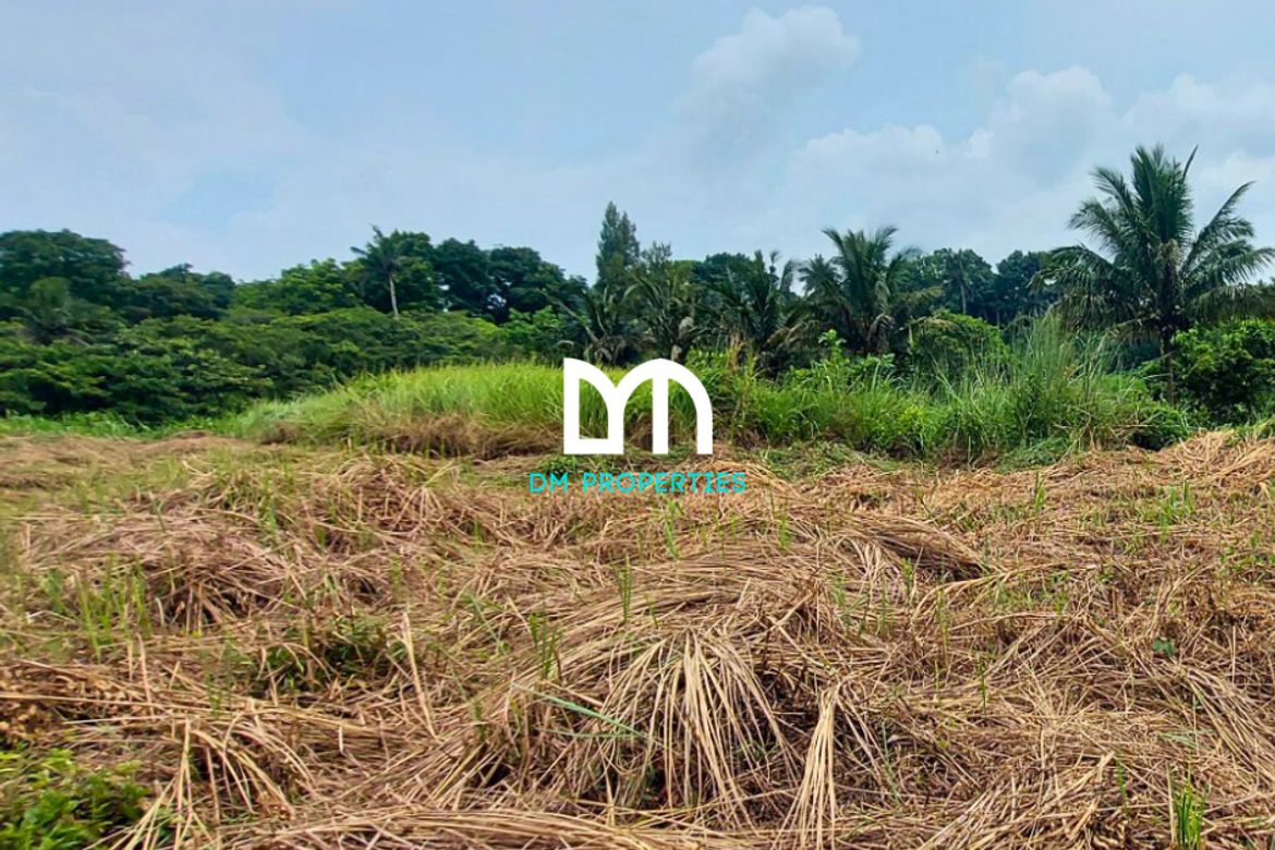 Land for Sale in Tolentino East, Tagaytay, Cavite – photo 6