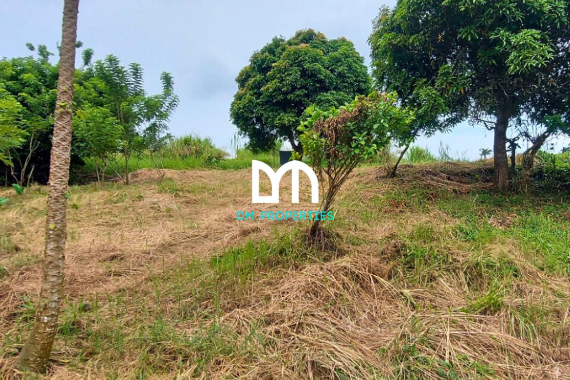 Land for Sale in Tolentino East, Tagaytay, Cavite – photo 8