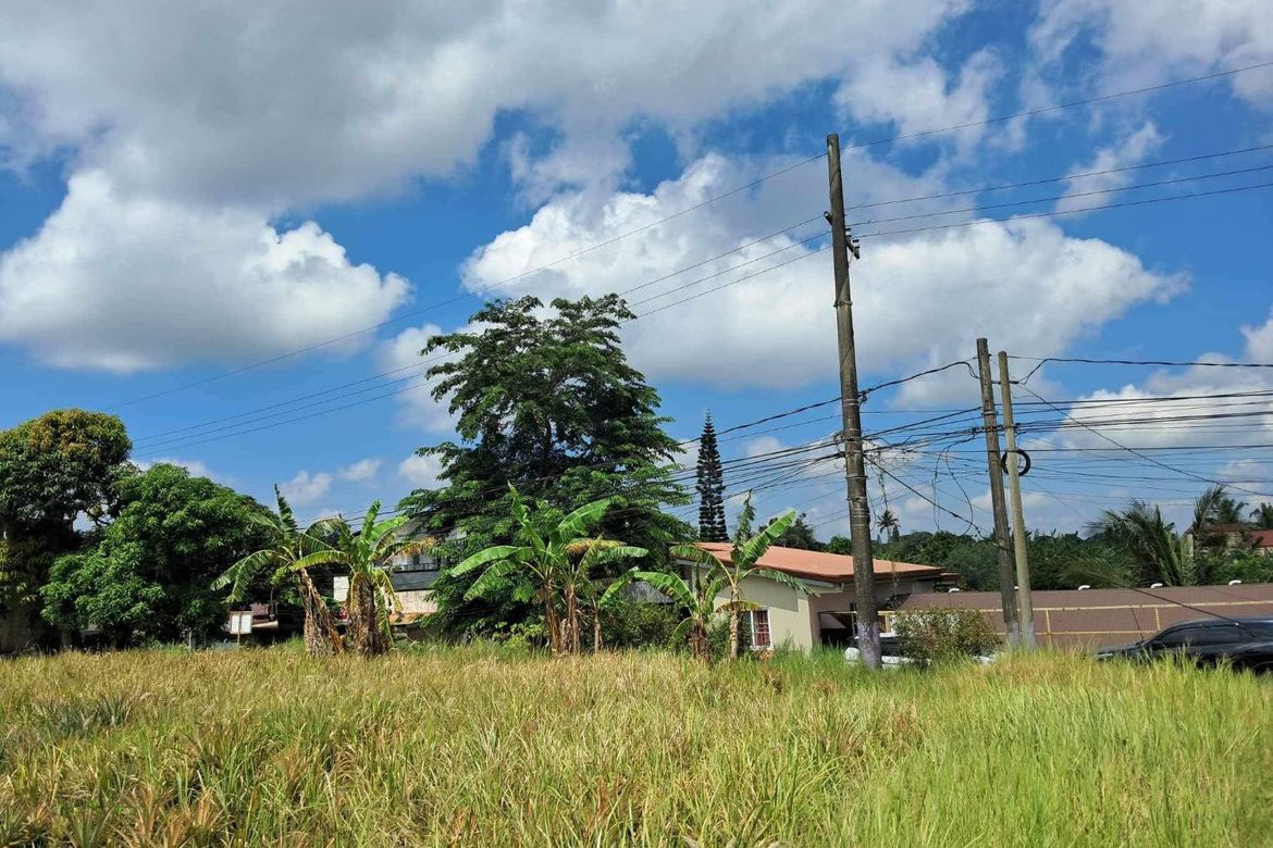 Land for Sale in Tolentino East, Tagaytay, Cavite – photo 2