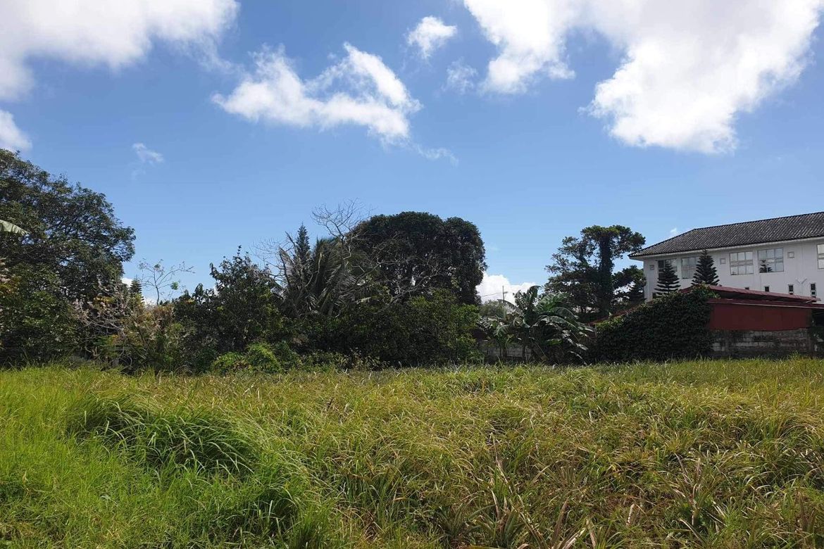 Land for Sale in Tolentino East, Tagaytay, Cavite – photo 4