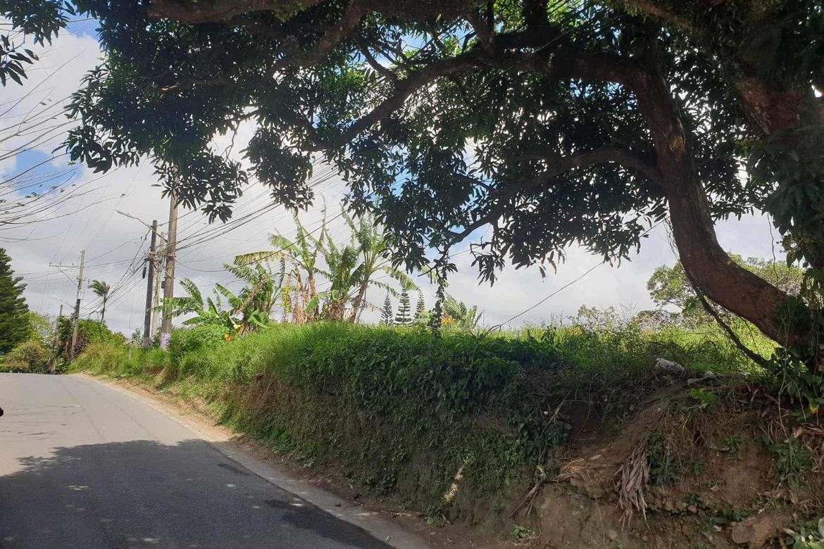Land for Sale in Tolentino East, Tagaytay, Cavite – photo 5