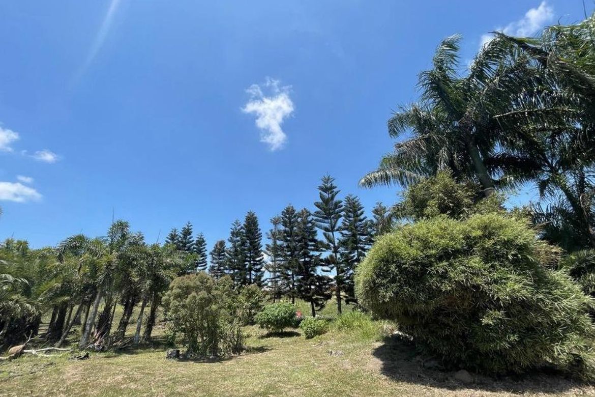 Land for Sale in Tolentino East, Tagaytay, Cavite – photo 7